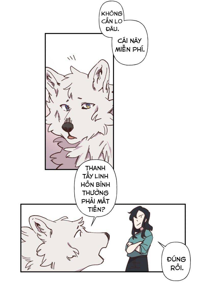 Lumine Chapter 83 - Trang 2