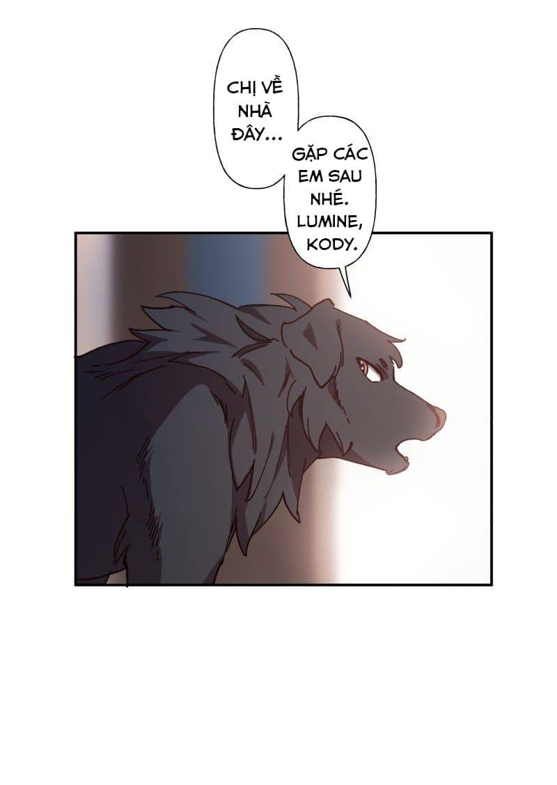 Lumine Chapter 83 - Trang 2