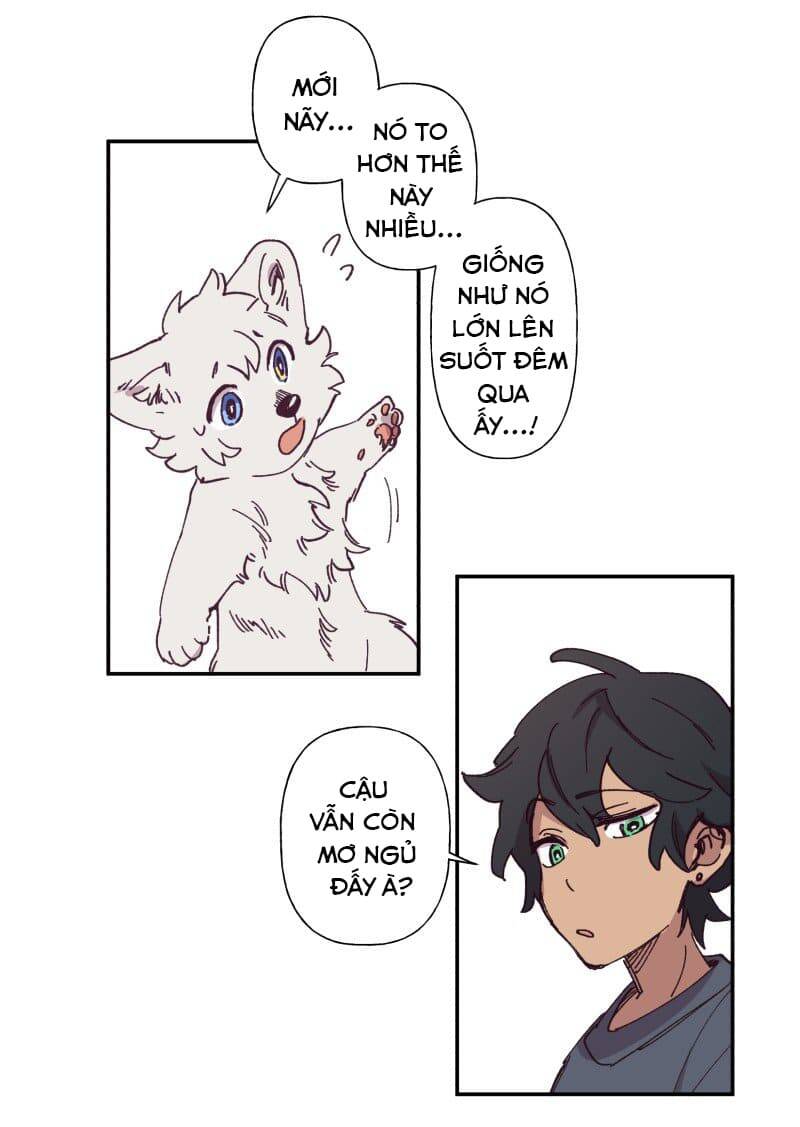 Lumine Chapter 84 - Trang 2