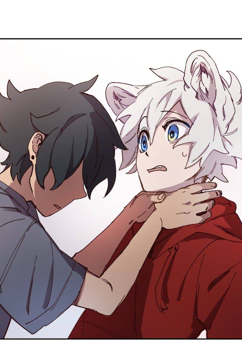 Lumine Chapter 85 - Trang 2