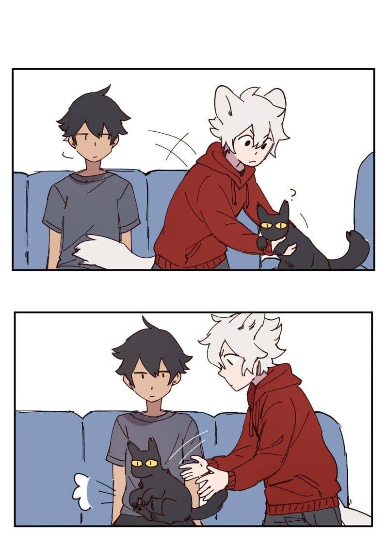 Lumine Chapter 87 - Trang 2