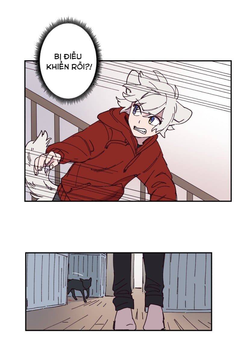 Lumine Chapter 87 - Trang 2