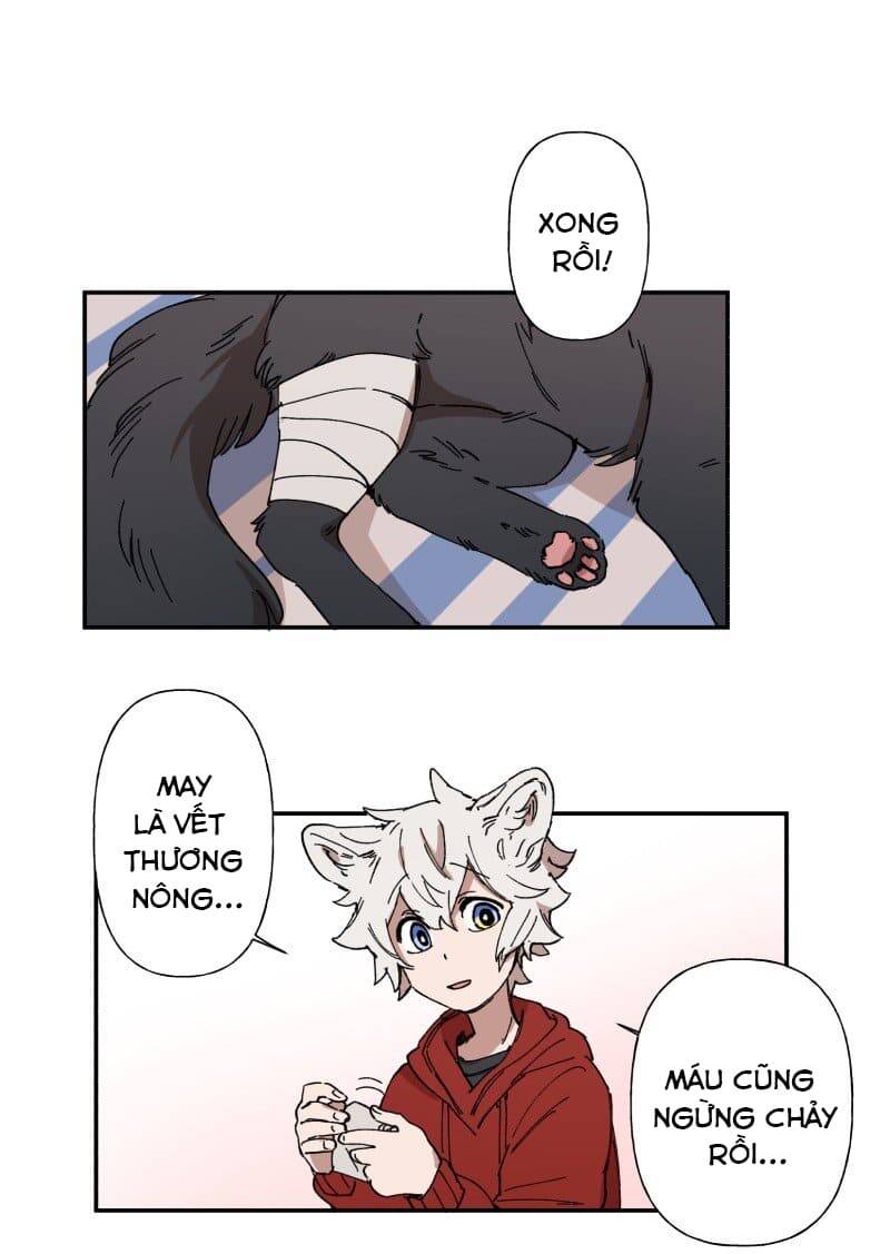 Lumine Chapter 88 - Trang 2