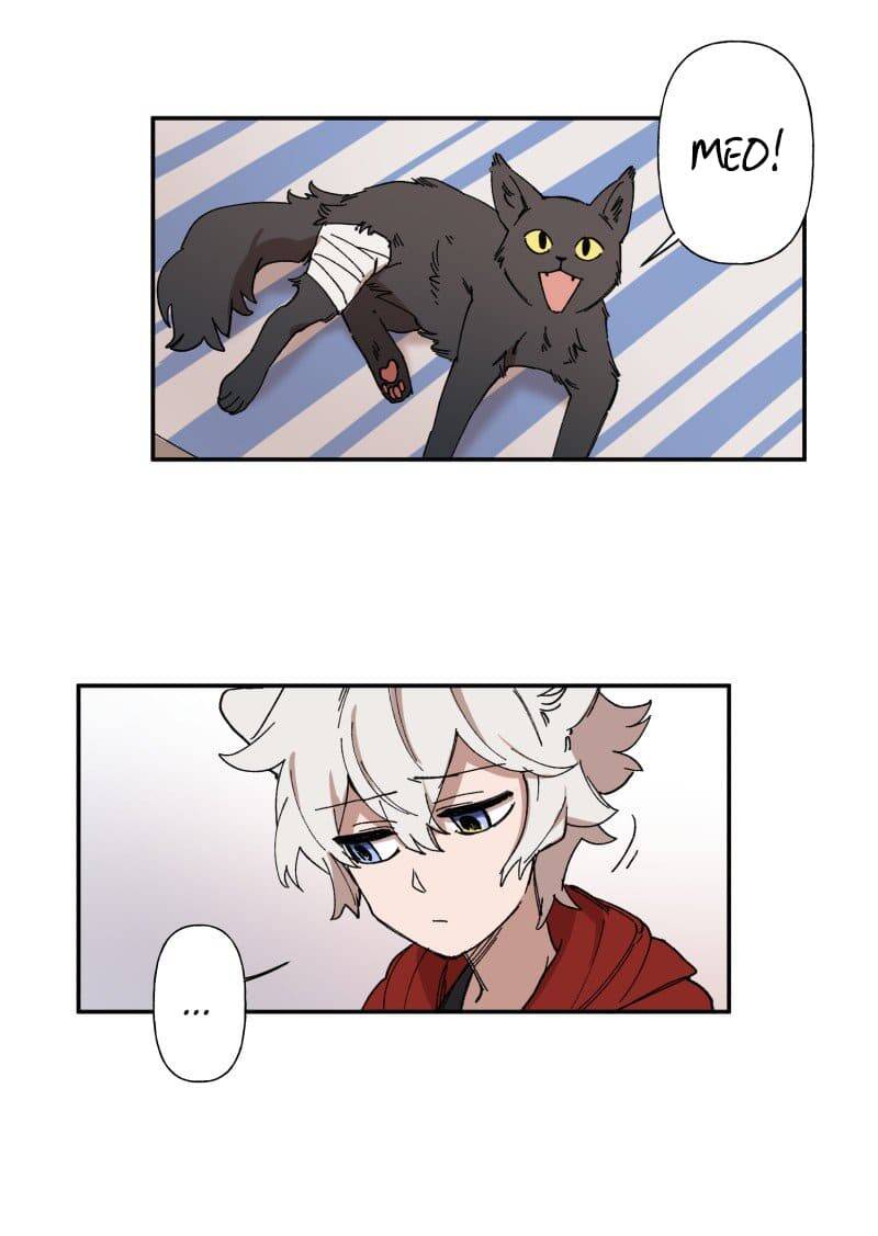 Lumine Chapter 88 - Trang 2