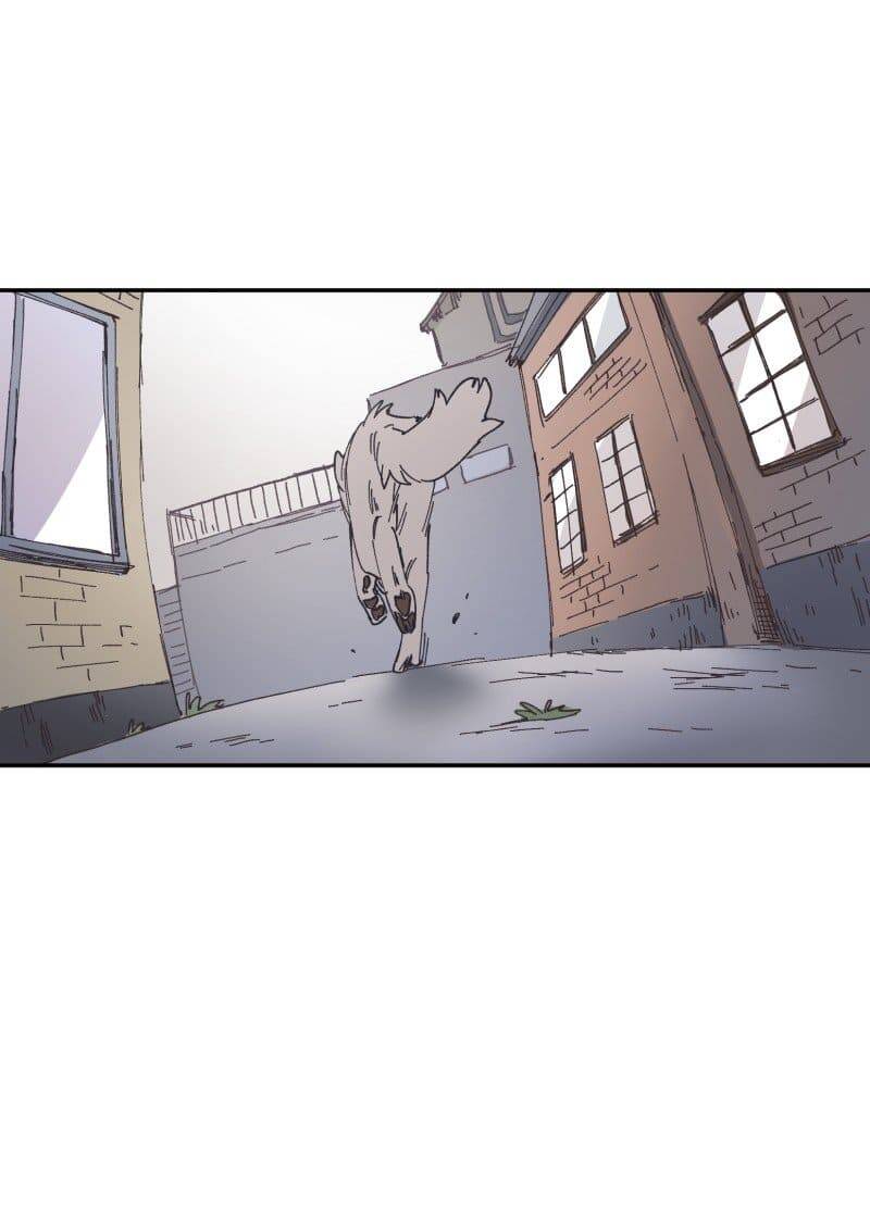 Lumine Chapter 88 - Trang 2