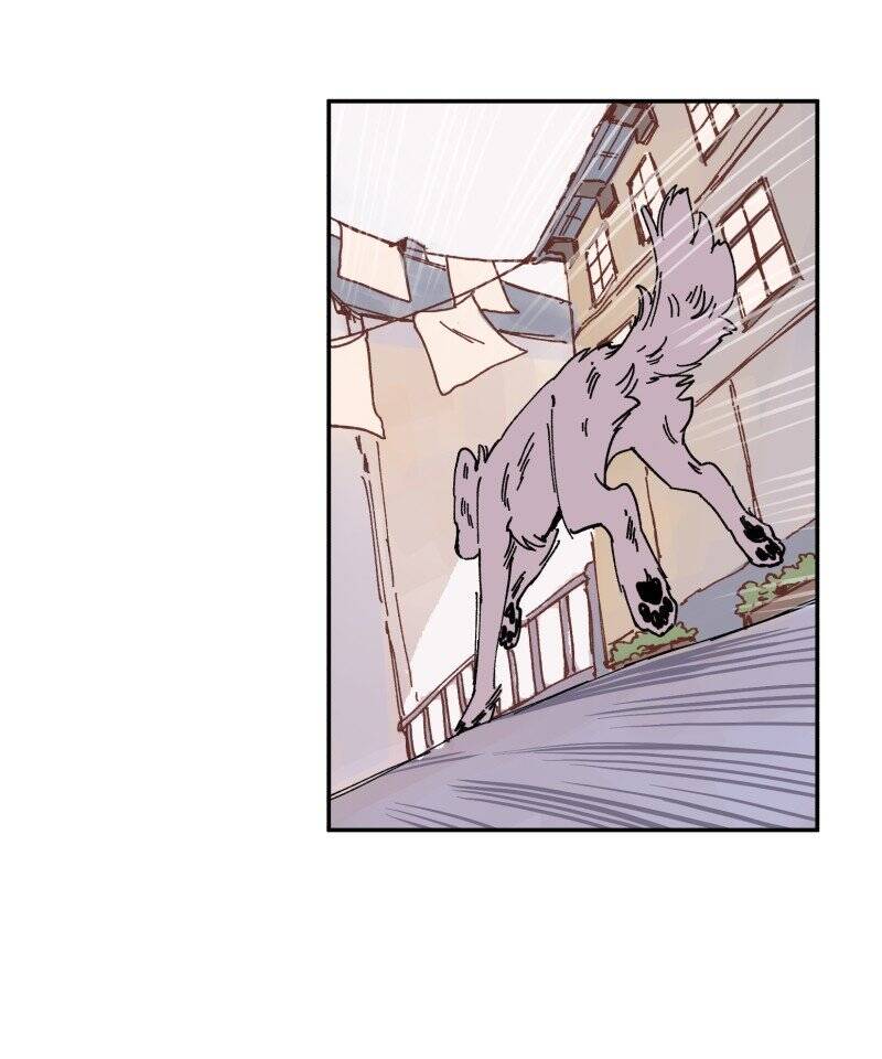 Lumine Chapter 89 - Trang 2