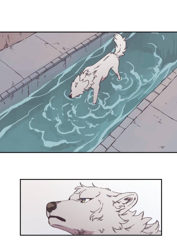 Lumine Chapter 89 - Trang 2