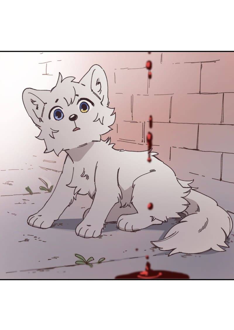 Lumine Chapter 91 - Trang 2