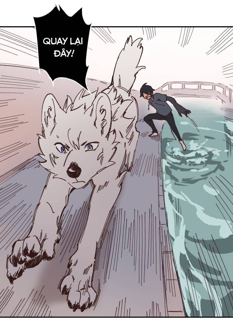 Lumine Chapter 91 - Trang 2