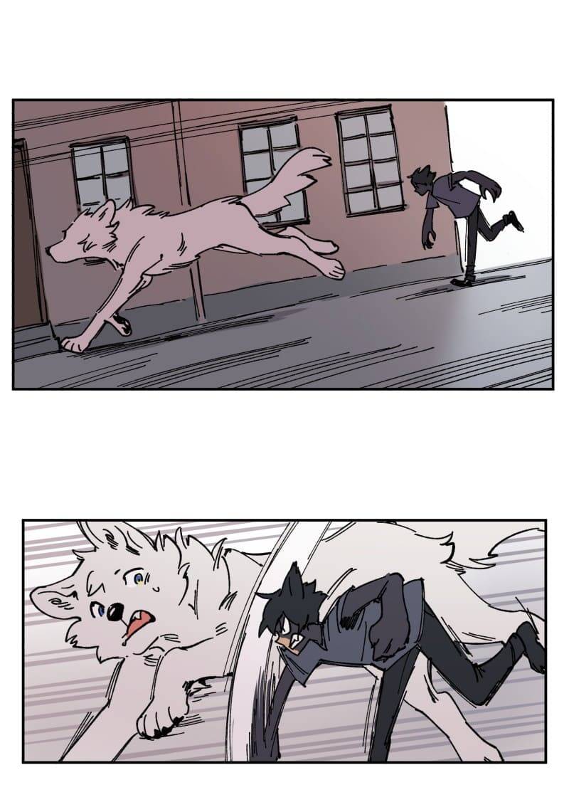 Lumine Chapter 91 - Trang 2