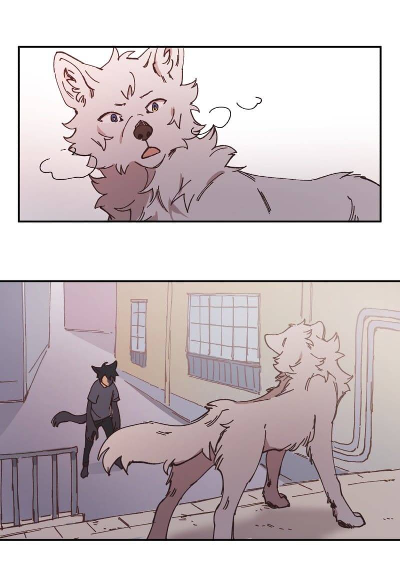 Lumine Chapter 91 - Trang 2