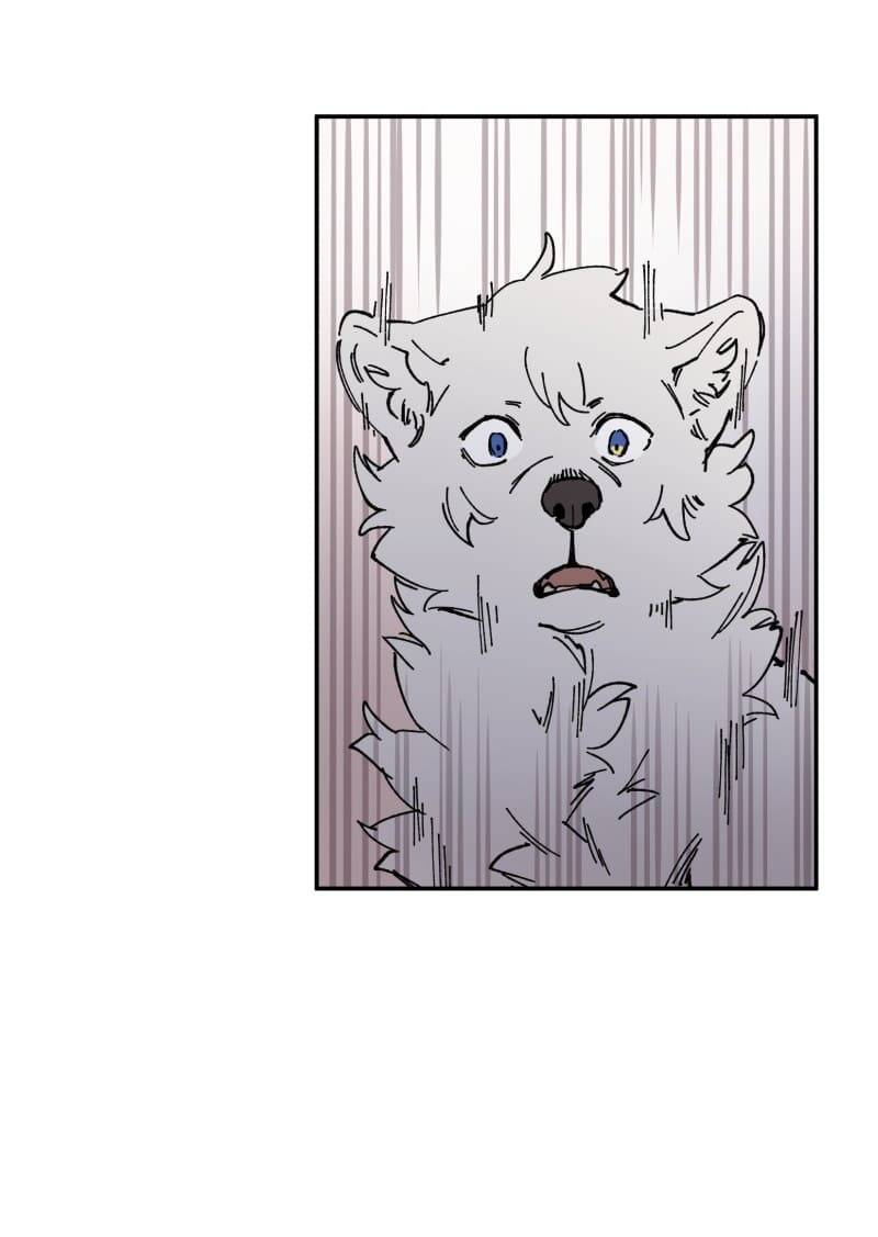 Lumine Chapter 91 - Trang 2