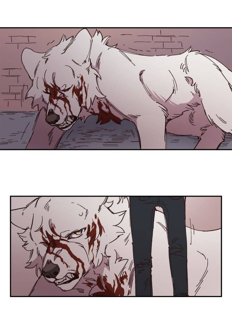 Lumine Chapter 92 - Trang 2