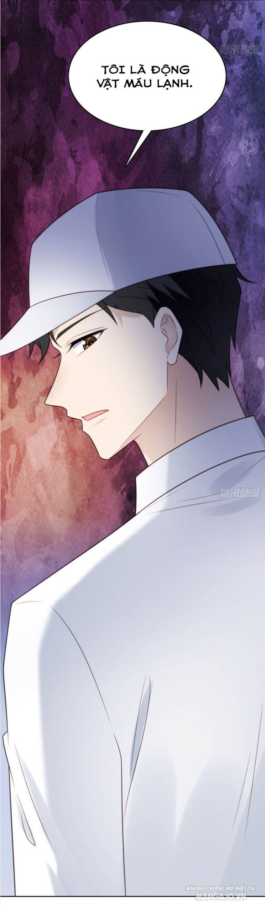 Lưng Dựa Núi Lớn Đứng Vững C Vị Chapter 10 - Trang 2