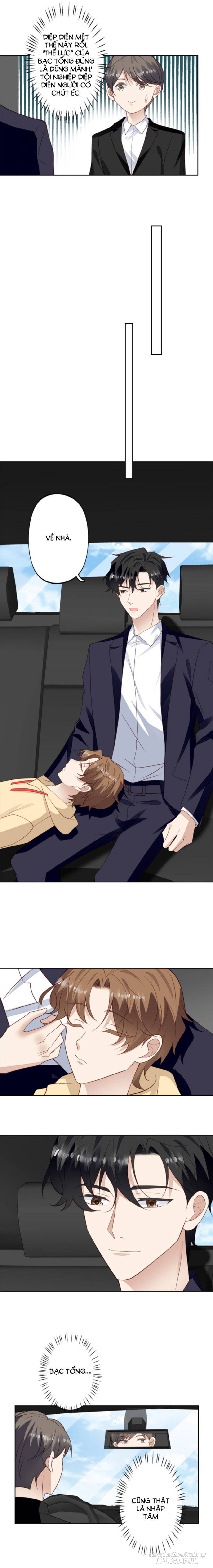 Lưng Dựa Núi Lớn Đứng Vững C Vị Chapter 103 - Trang 2