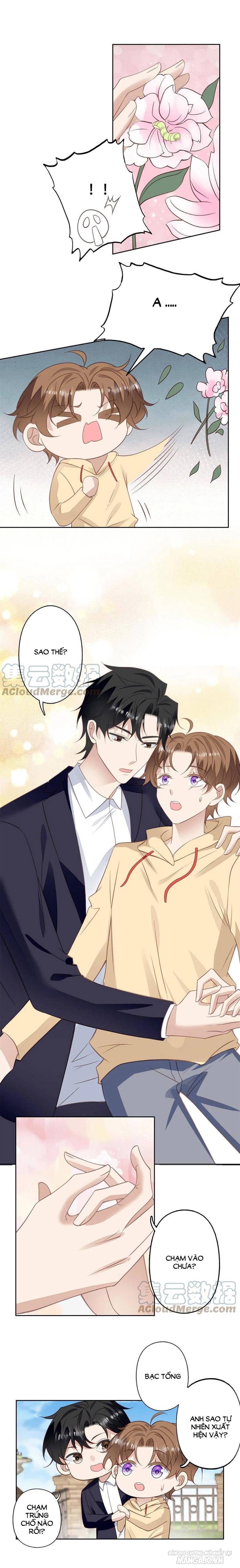 Lưng Dựa Núi Lớn Đứng Vững C Vị Chapter 104 - Trang 2