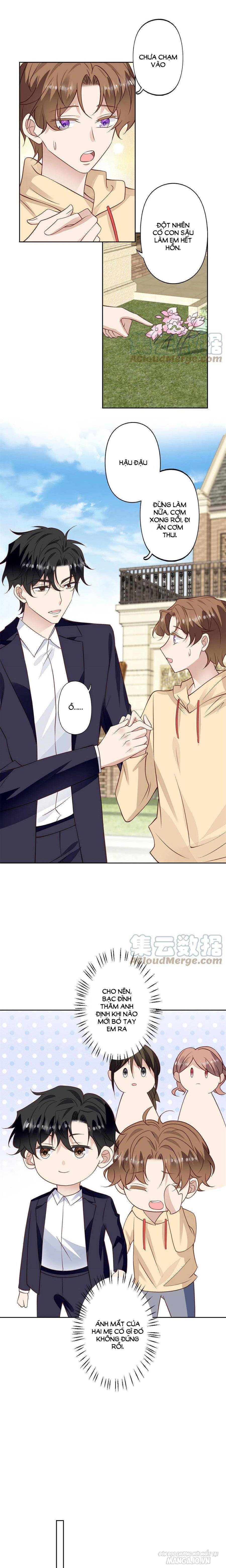 Lưng Dựa Núi Lớn Đứng Vững C Vị Chapter 105 - Trang 2