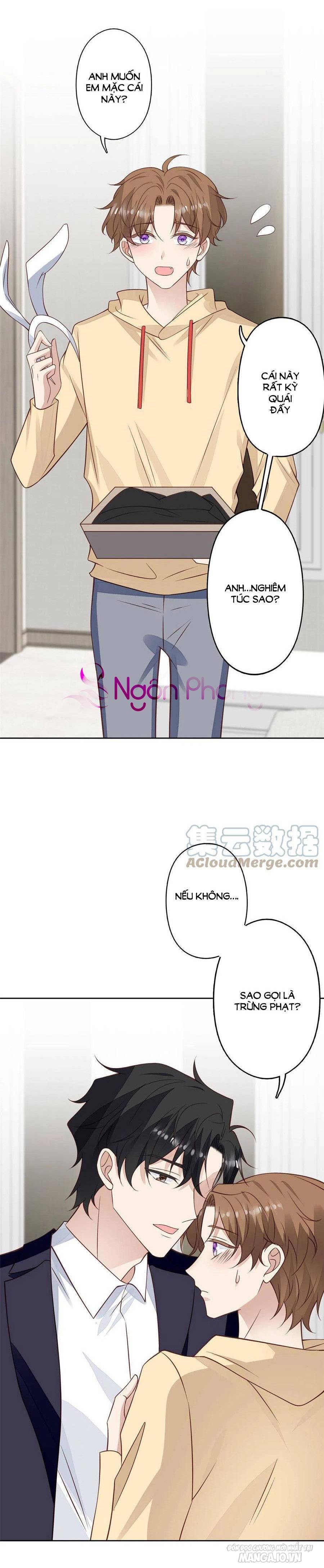 Lưng Dựa Núi Lớn Đứng Vững C Vị Chapter 106 - Trang 2