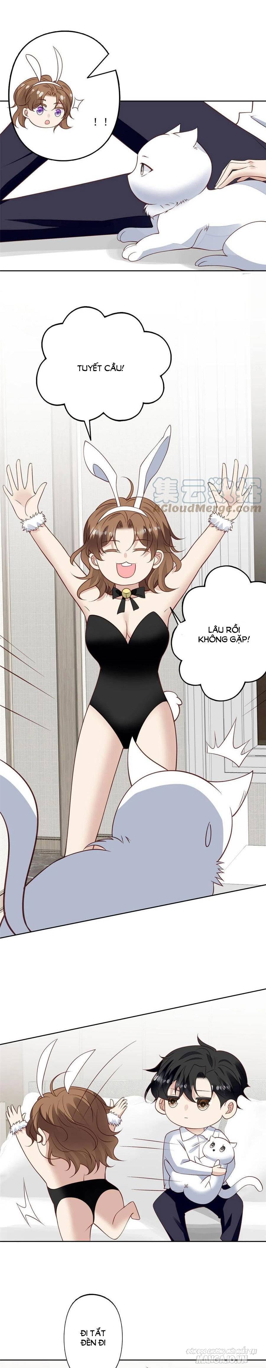 Lưng Dựa Núi Lớn Đứng Vững C Vị Chapter 106 - Trang 2