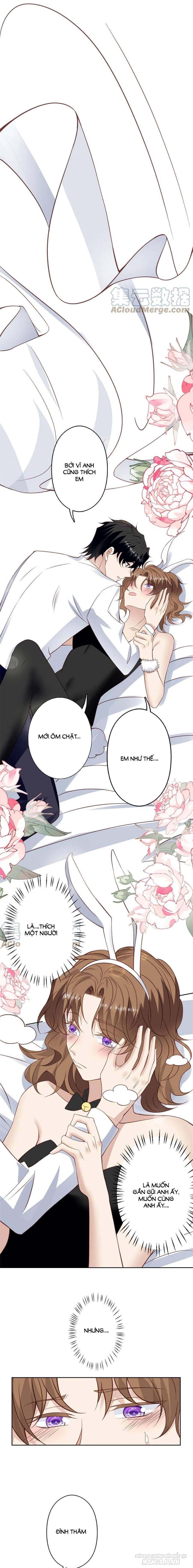 Lưng Dựa Núi Lớn Đứng Vững C Vị Chapter 107 - Trang 2