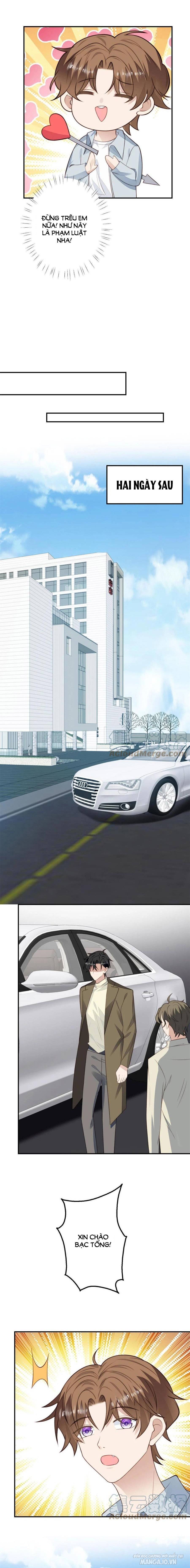 Lưng Dựa Núi Lớn Đứng Vững C Vị Chapter 108 - Trang 2