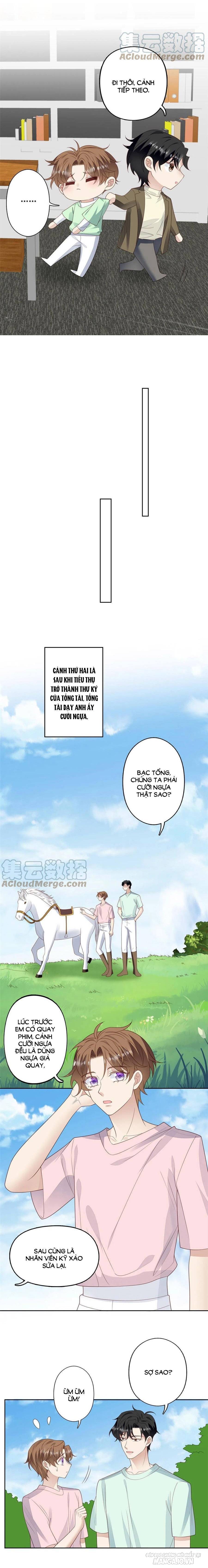 Lưng Dựa Núi Lớn Đứng Vững C Vị Chapter 110 - Trang 2