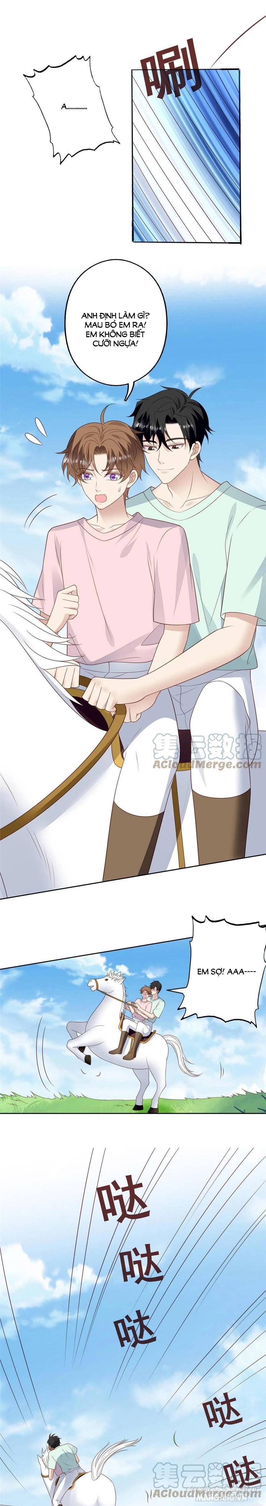 Lưng Dựa Núi Lớn Đứng Vững C Vị Chapter 110 - Trang 2