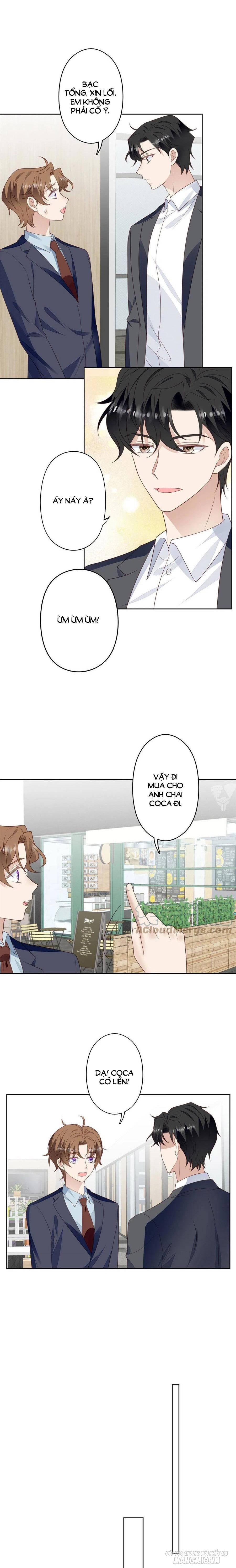 Lưng Dựa Núi Lớn Đứng Vững C Vị Chapter 111 - Trang 2