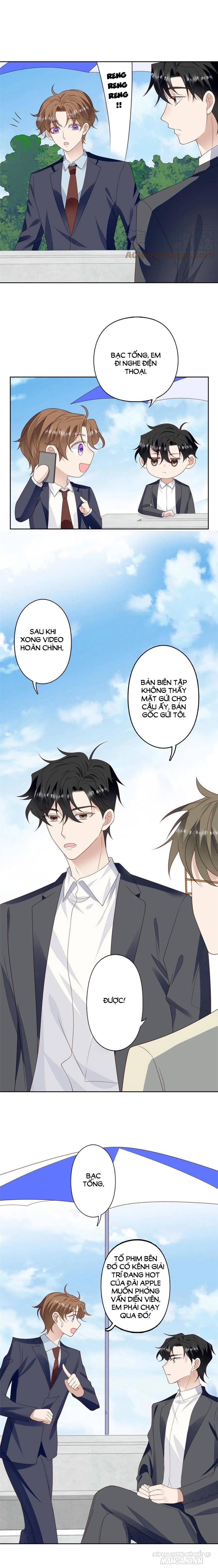 Lưng Dựa Núi Lớn Đứng Vững C Vị Chapter 111 - Trang 2