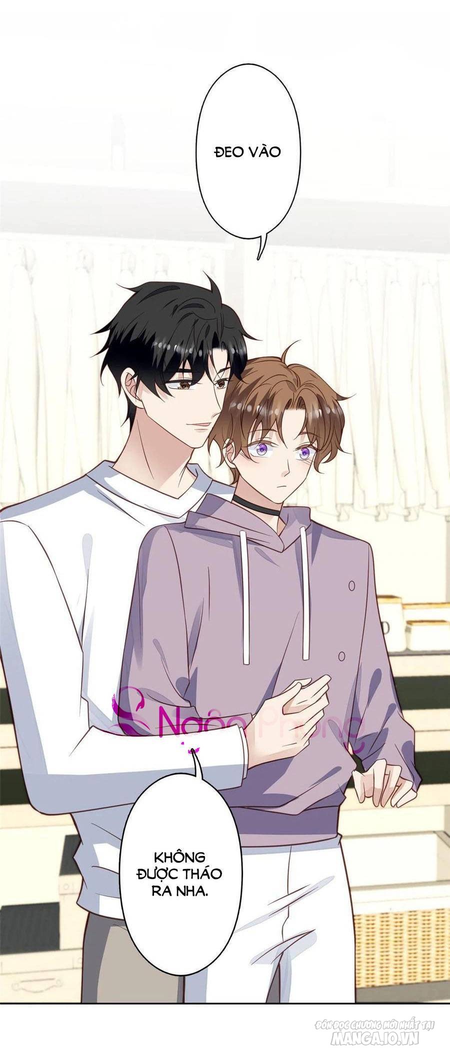 Lưng Dựa Núi Lớn Đứng Vững C Vị Chapter 116 - Trang 2