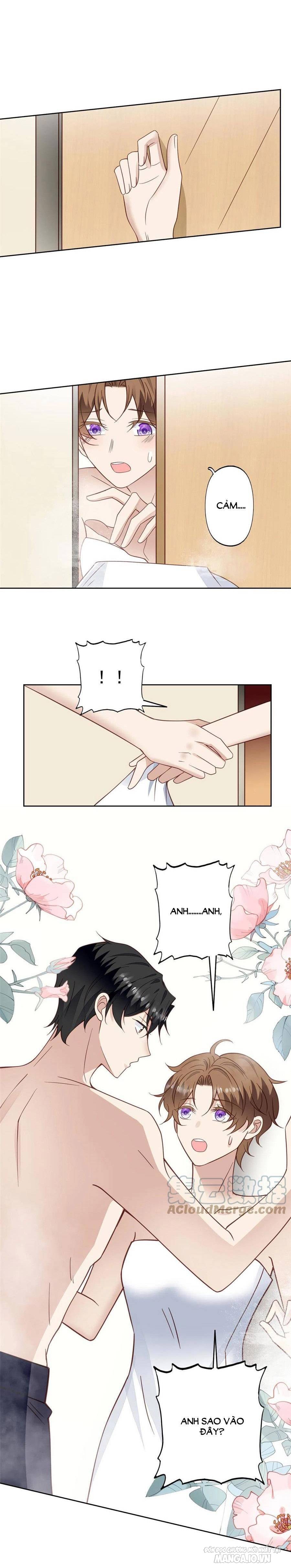 Lưng Dựa Núi Lớn Đứng Vững C Vị Chapter 118 - Trang 2