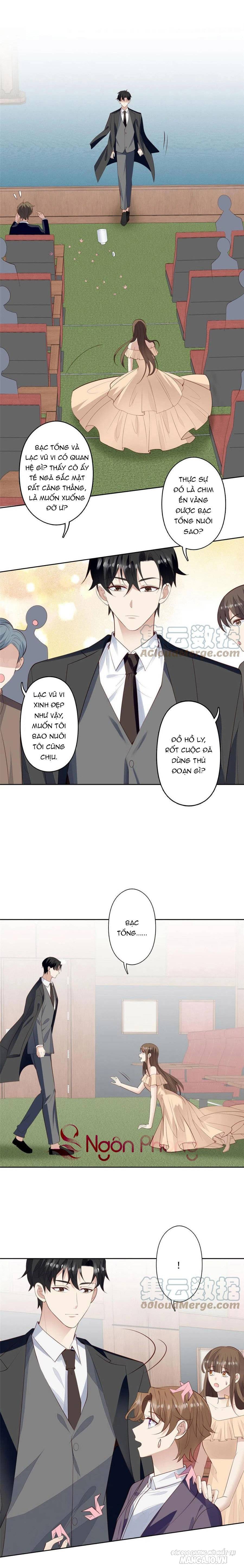 Lưng Dựa Núi Lớn Đứng Vững C Vị Chapter 135 - Trang 2