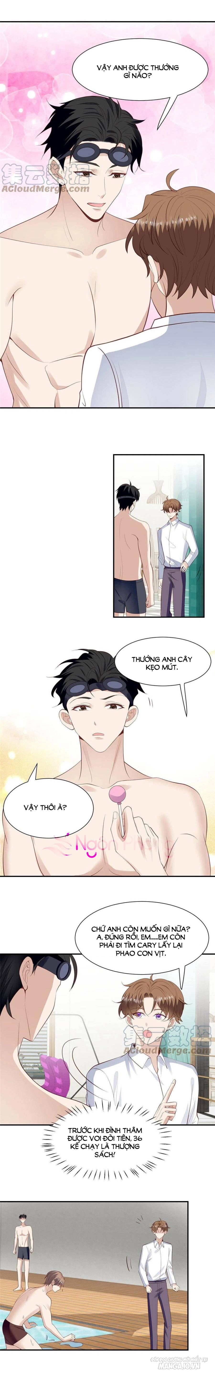 Lưng Dựa Núi Lớn Đứng Vững C Vị Chapter 137 - Trang 2