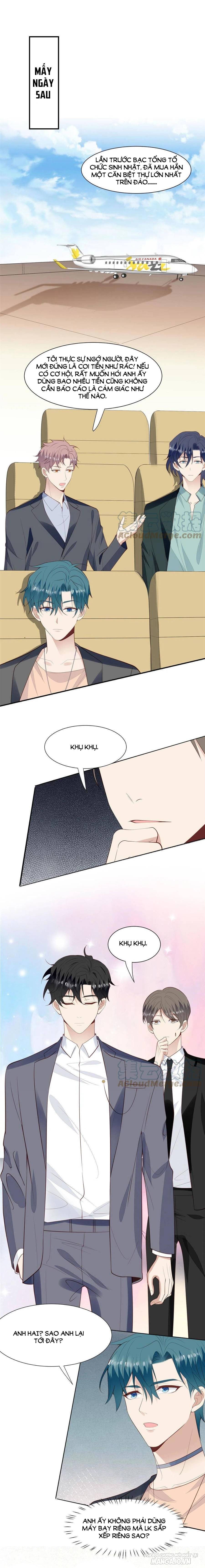 Lưng Dựa Núi Lớn Đứng Vững C Vị Chapter 141 - Trang 2