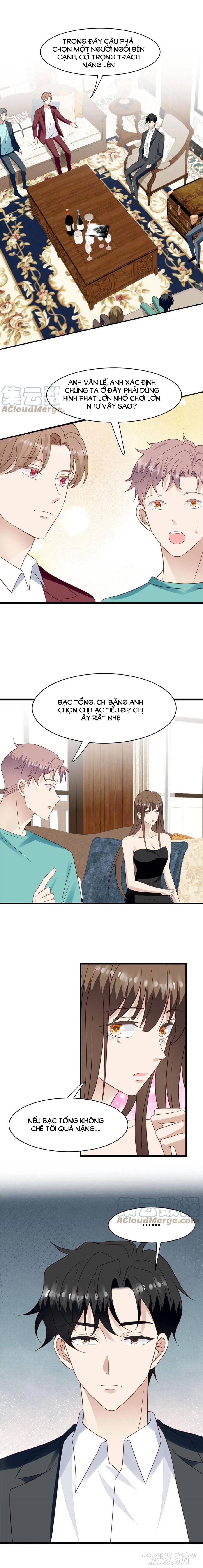 Lưng Dựa Núi Lớn Đứng Vững C Vị Chapter 143 - Trang 2