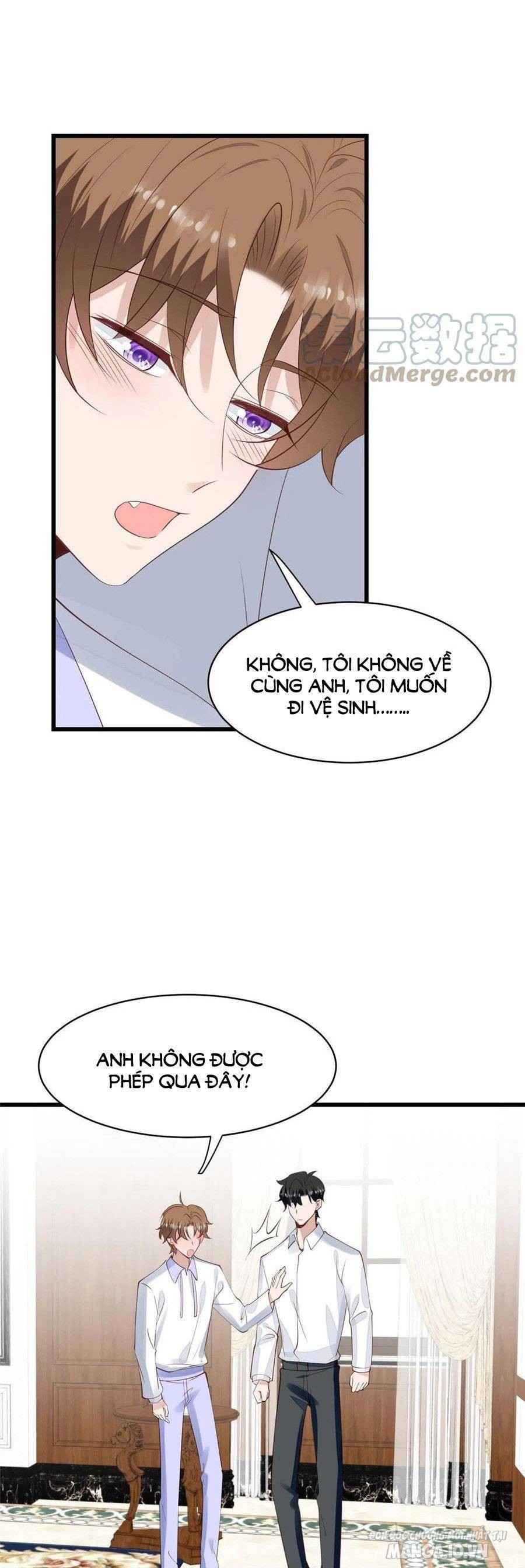 Lưng Dựa Núi Lớn Đứng Vững C Vị Chapter 144 - Trang 2