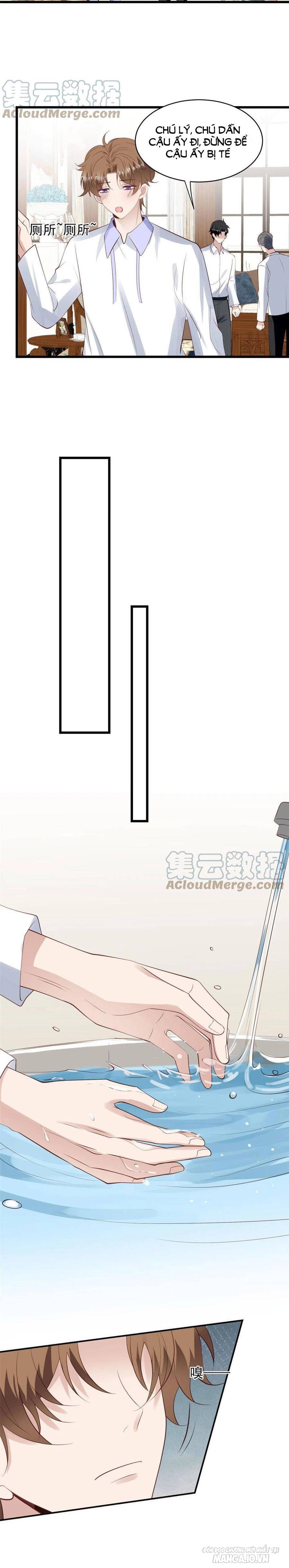 Lưng Dựa Núi Lớn Đứng Vững C Vị Chapter 144 - Trang 2