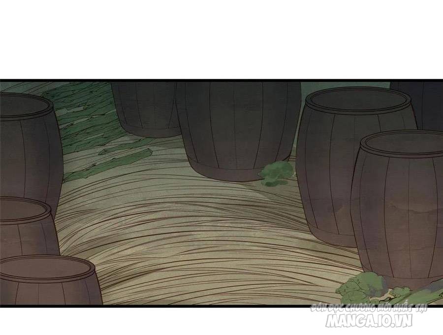 Lưng Dựa Núi Lớn Đứng Vững C Vị Chapter 145 - Trang 2