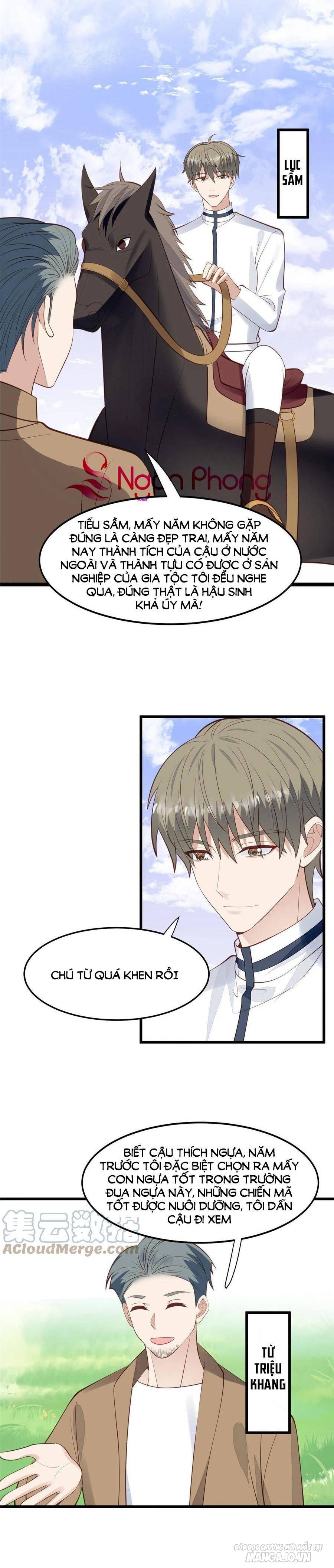 Lưng Dựa Núi Lớn Đứng Vững C Vị Chapter 149 - Trang 2