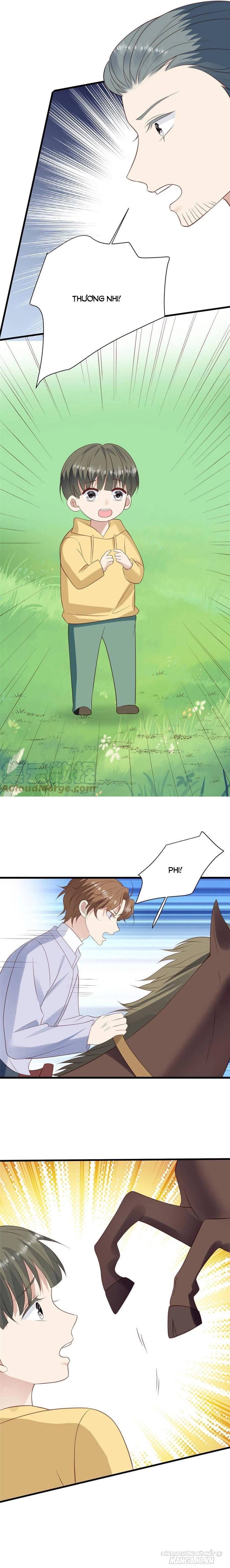 Lưng Dựa Núi Lớn Đứng Vững C Vị Chapter 150 - Trang 2