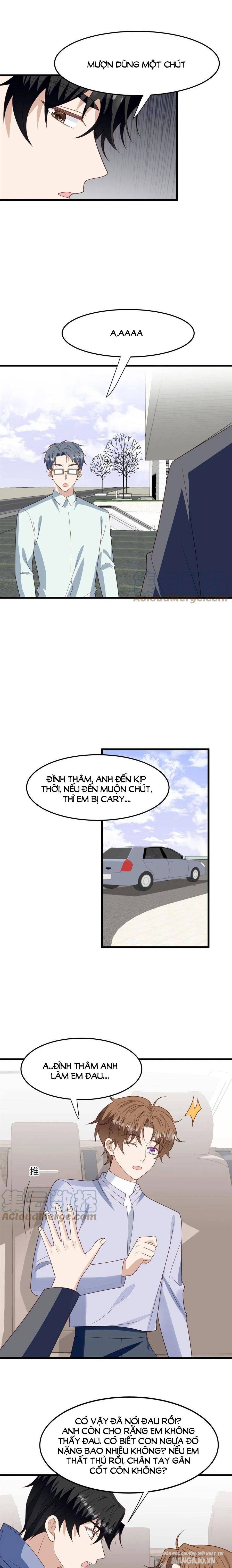 Lưng Dựa Núi Lớn Đứng Vững C Vị Chapter 151 - Trang 2