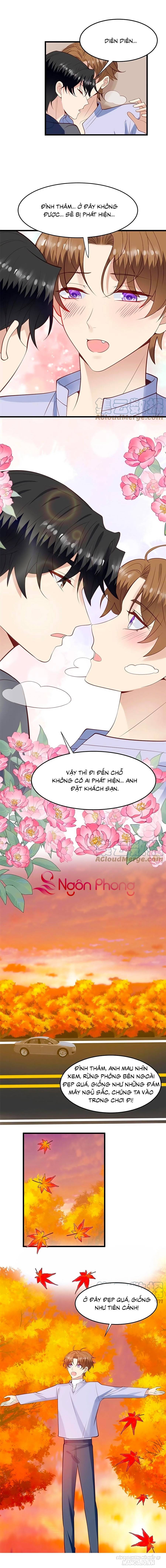 Lưng Dựa Núi Lớn Đứng Vững C Vị Chapter 152 - Trang 2