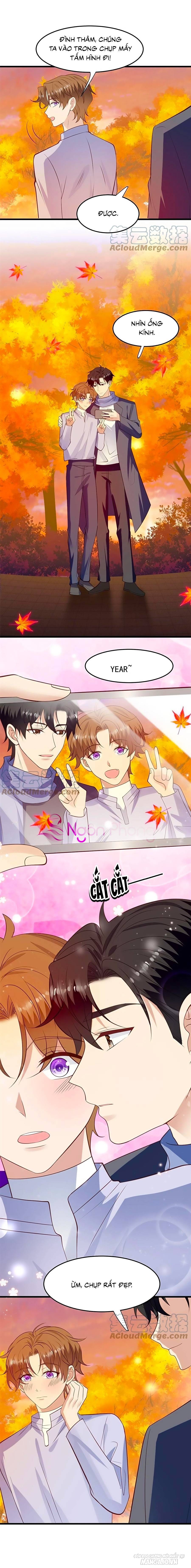 Lưng Dựa Núi Lớn Đứng Vững C Vị Chapter 152 - Trang 2