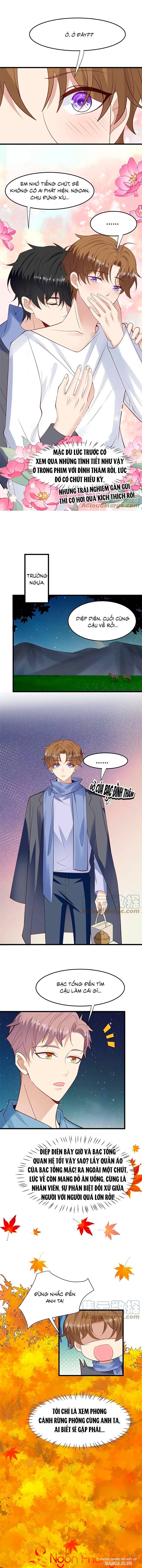 Lưng Dựa Núi Lớn Đứng Vững C Vị Chapter 152 - Trang 2