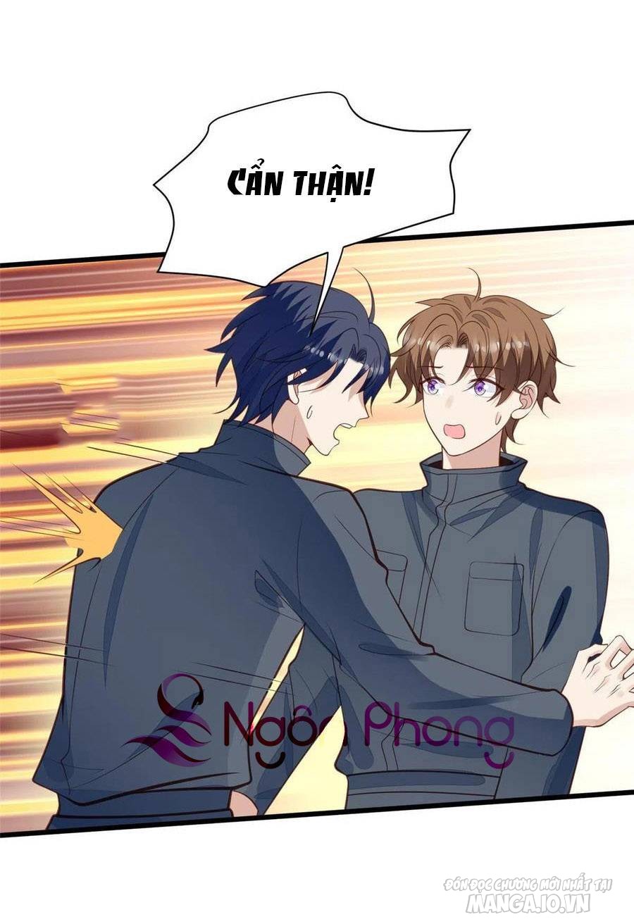 Lưng Dựa Núi Lớn Đứng Vững C Vị Chapter 154 - Trang 2