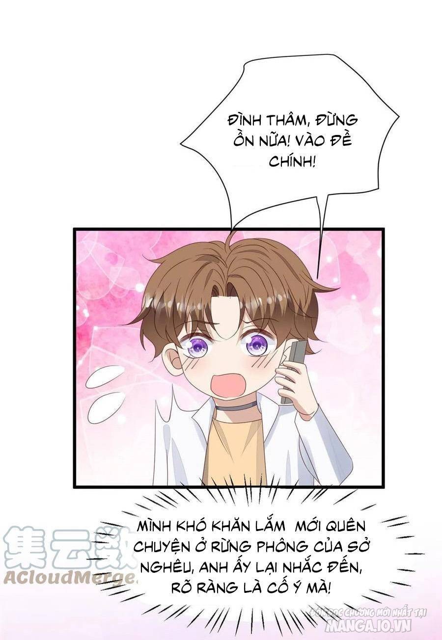 Lưng Dựa Núi Lớn Đứng Vững C Vị Chapter 156 - Trang 2