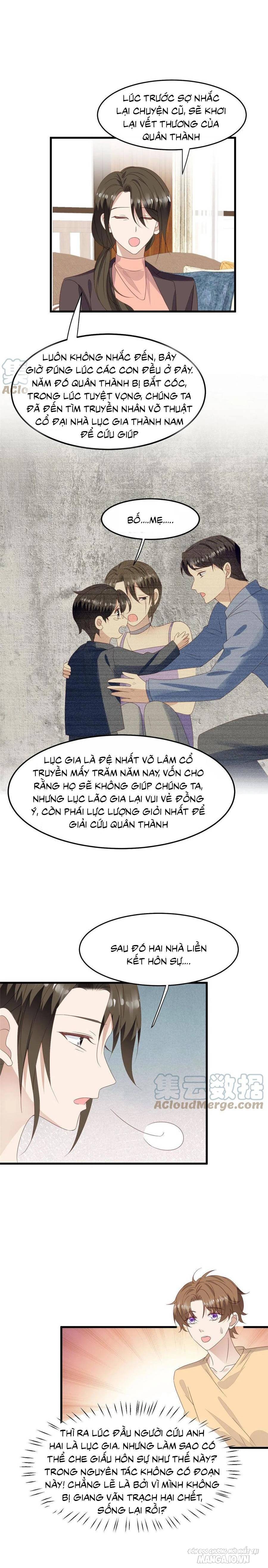 Lưng Dựa Núi Lớn Đứng Vững C Vị Chapter 156 - Trang 2