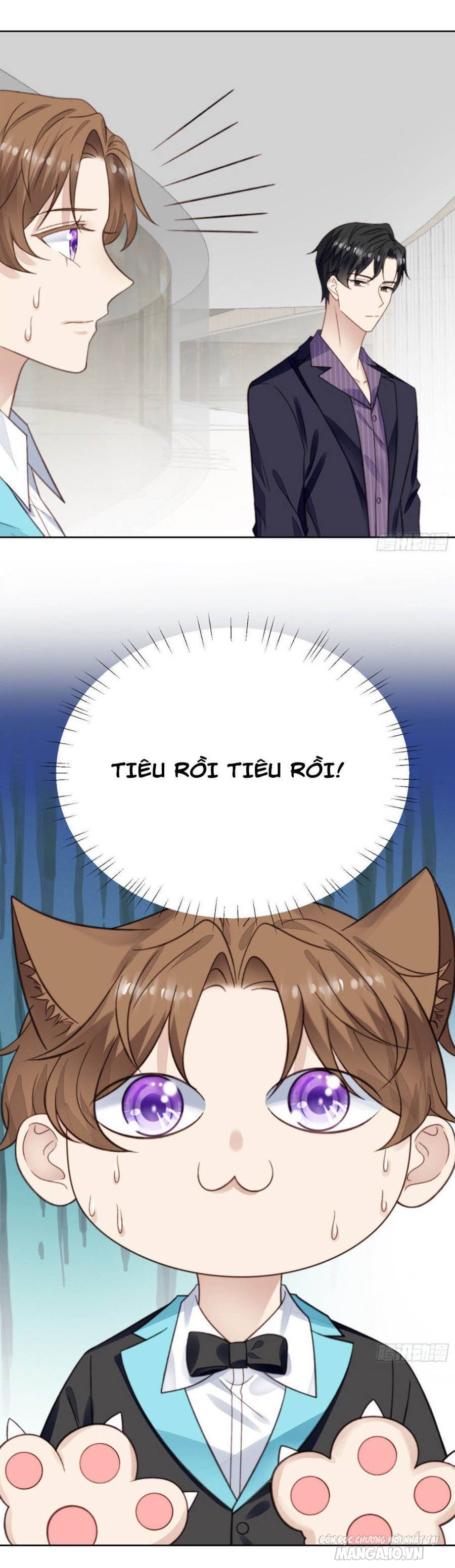 Lưng Dựa Núi Lớn Đứng Vững C Vị Chapter 16 - Trang 2