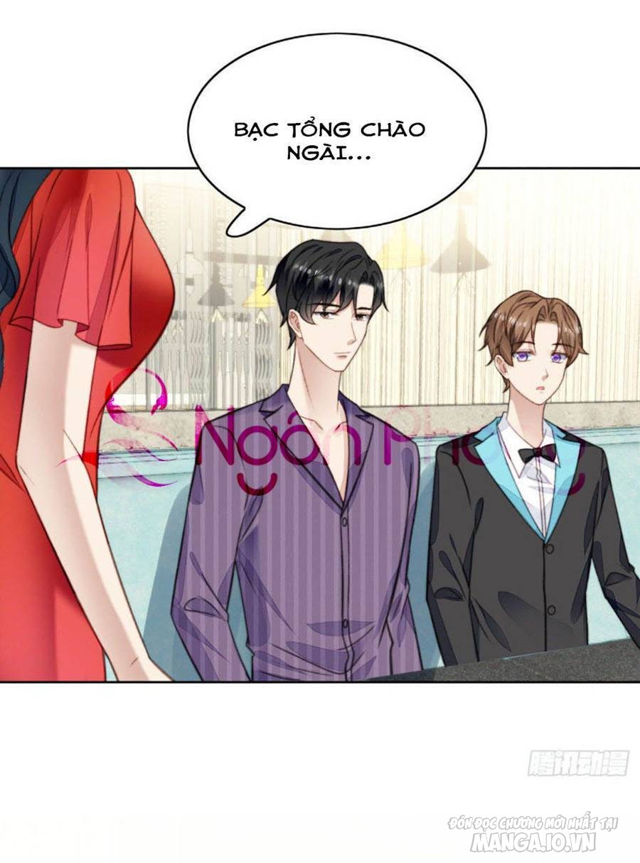 Lưng Dựa Núi Lớn Đứng Vững C Vị Chapter 17 - Trang 2