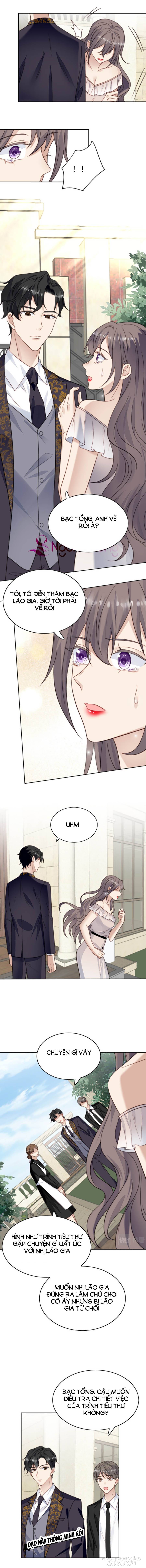 Lưng Dựa Núi Lớn Đứng Vững C Vị Chapter 26 - Trang 2